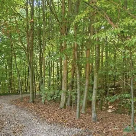 - Cozy House, 10 Min From Center Villa